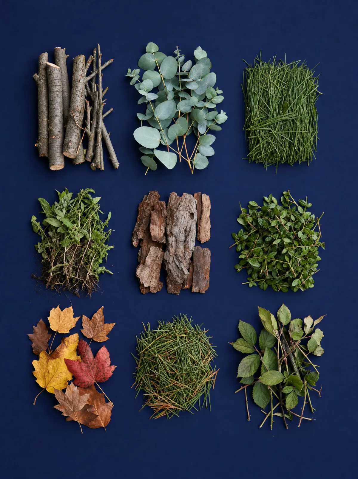Garden waste laid out in a neat grid: branches, eucalyptus prunings, grass clippings, weeds, bark and leaves